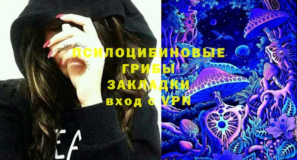 ПСИЛОЦИБИНОВЫЕ ГРИБЫ Алексин