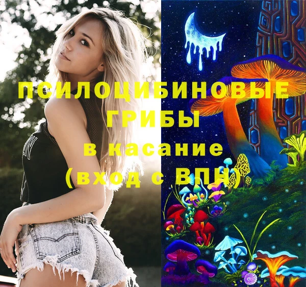 ПСИЛОЦИБИНОВЫЕ ГРИБЫ Алексин
